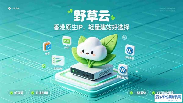 野草云 - 运营十余年老牌香港VPS,站长高性价比建站选择